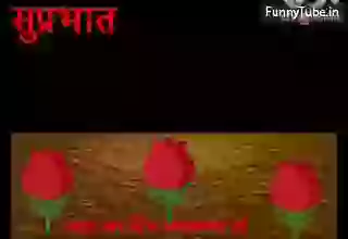 Good Morning Whatsapp Greeting Status Video