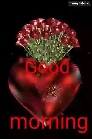 Good Morning Whatsapp Lovely GIF