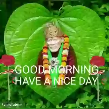Good Morning Whatsapp Status For Thursday