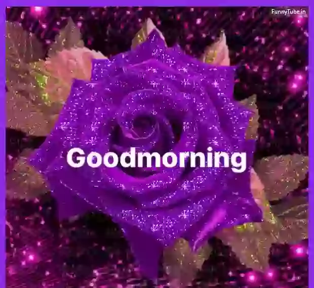 Good Morning Whatsapp Status GIF