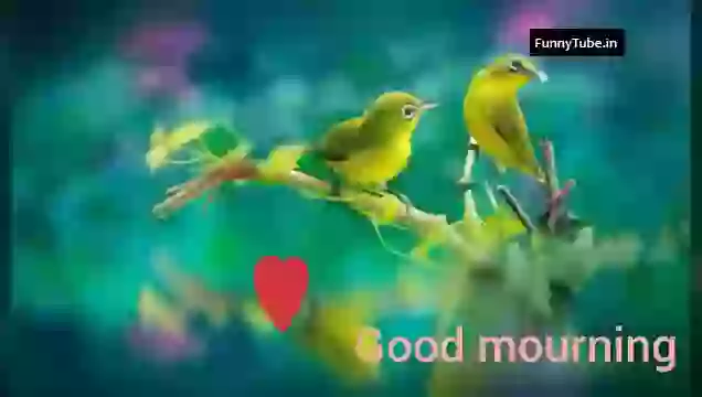 Good Morning Whatsapp Status Video Song