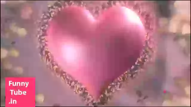 Good Morning Whatsapp Video For Love