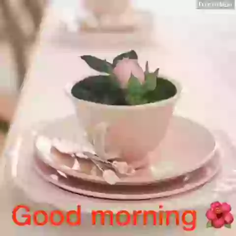 Good Morning Whatsapp Wishes GIF