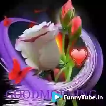 Good Morning Wish Video For You