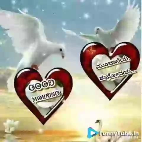 Good Morning Wish Video Tamil