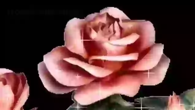 Good Morning Wishes For Whatsapp Status