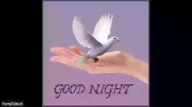 Good Night Beautiful Images Wallpaper Video Status