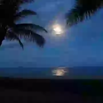 Good Night Beautiful Song Whatsapp Greeting Status