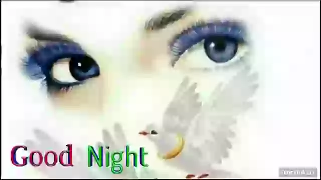 Good Night Dil Se Whatspp Status Video