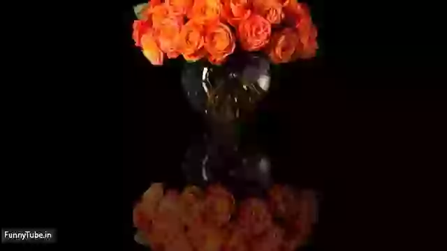 Good Night Have A Nice Sleep Status Video