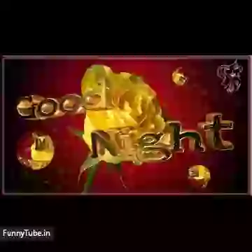 Good Night Images And Messages Whataspp Status