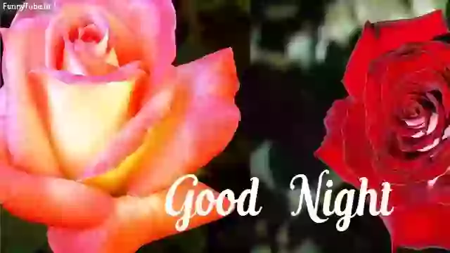 Good Night Images And Photos For Whatsapp Status