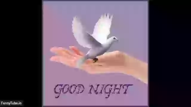 Good Night Images And Wallpaper Status Video