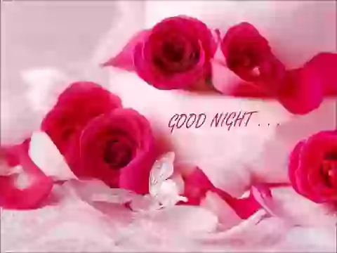 Good Night My Love Romantic Whatsapp Video Status