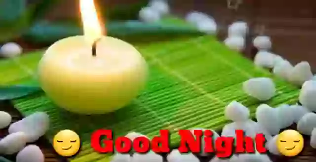 Good Night Quotes Animated Status Video
