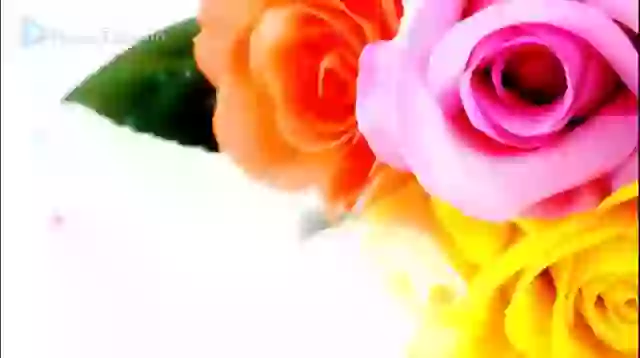 Good Night Quotes In Hindi Whatsapp Video