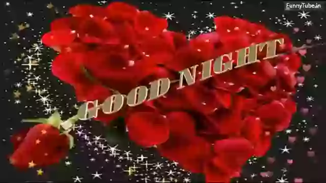 Good Night Romantic Special  Whatsapp Video