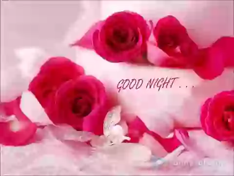 Good Night Romantic Video Status For Whatsapp