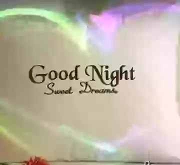 Good Night Short Animated Status VIdeo