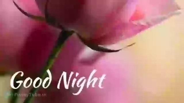 Good Night Song For Love Whatsapp Status