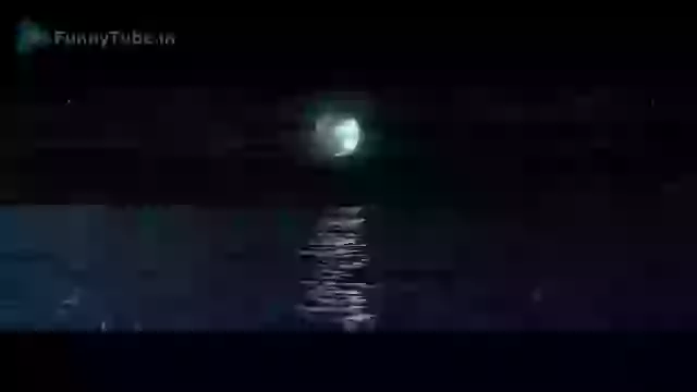 Good Night Status For Whatsapp