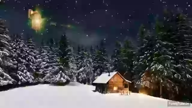 Good Night Status New And Latest Whatsapp Video Download