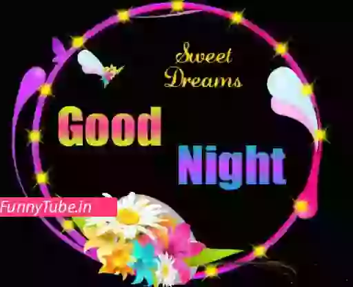 Good Night Sweet Dreams Lovely Animated Whatsapp GIF