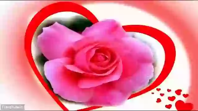 Good Night Sweet Wishes And Greetings Status Video