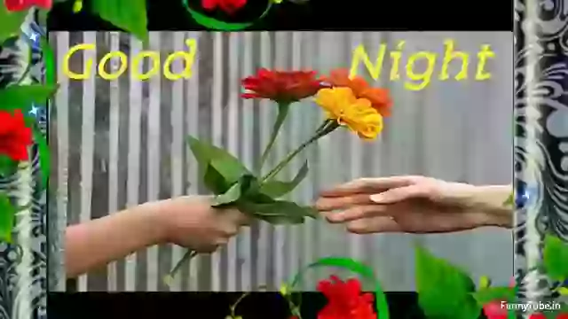 Good Night Video Download For Whatsapp