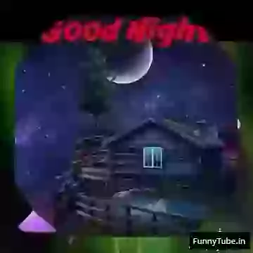 Good Night Video Whatsapp Wishes And Messages