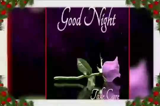 Good Night Video With Lovely Images Status Video