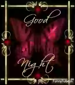 Good Night Whatsapp Status GIF