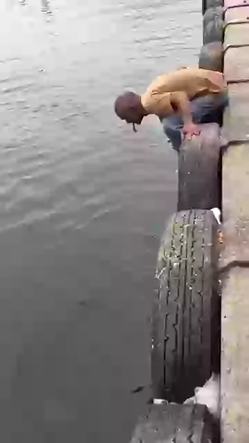 Great Stunt By Seal N Man