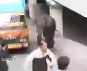 Haathi me machaya kohram