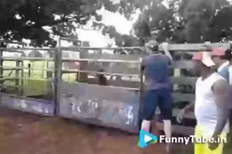 Hahahah What is This Funny GIF