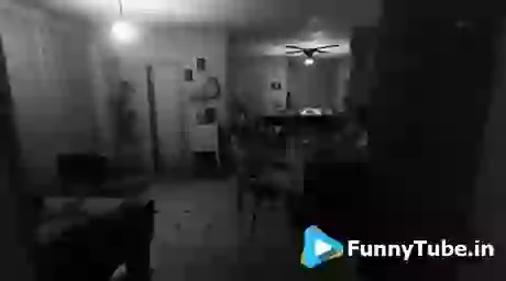 Hahahahahah Funny Thief Game