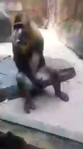 Hamare Purvaj Bhai Kuch Kam Nahi The