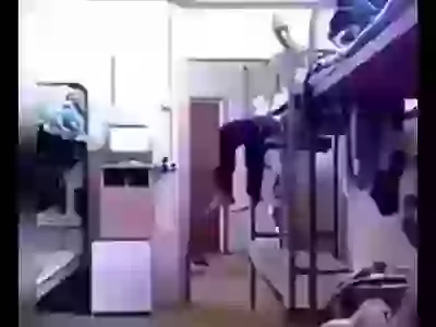 Hanged Over Stunt Fails