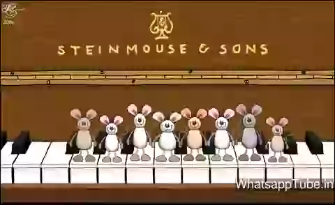 Happy Birthday Song Wish For Whatsapp Video