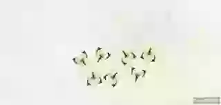 Happy Friendship Day Whatsapp Status 2018