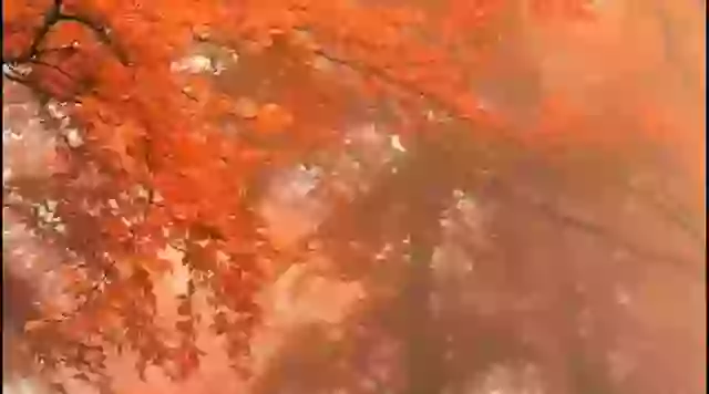 Happy Independence Day Dil Diya Hai Jaan Bhi Denge