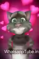 Happy Lohri Wish From TOM