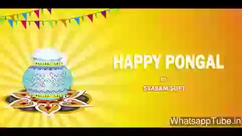 Happy Pongal Whatsapp Video