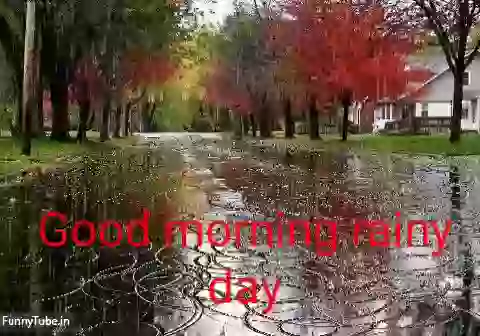 Happy Rainy Day  Good Morning GIF