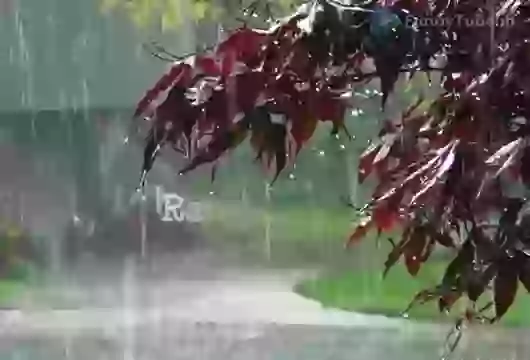 Happy Rath Yatra 2018 Wish Whatsapp Status Video