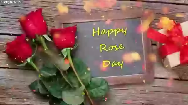 Happy Rose Day Wish Video For Love