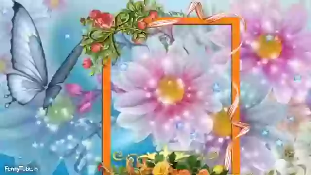 Happy Sunday Good Morning Whatspp Status Video