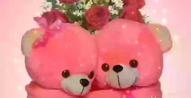 Happy Teddy Day Whatsapp Status Video 2019