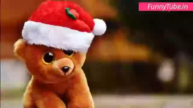 Happy Teddy Day Whatsapp Status Love Video Download