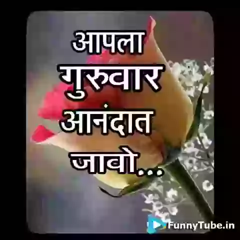 Happy Thursday Jai Sai Raam